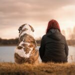 Fragen und Antworten zum Haustier Hund 2017
