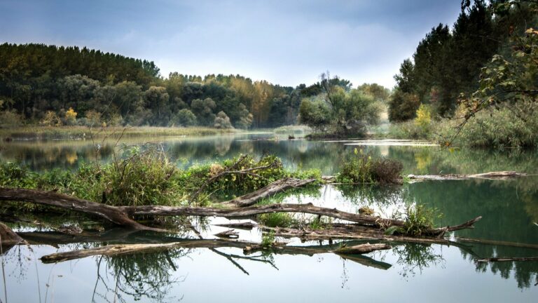 Wie tief ist die Donau?